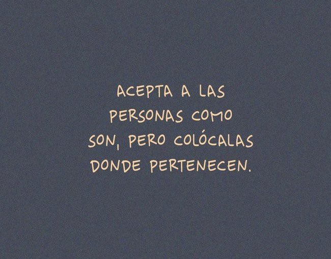 Brujo 🏛️ (@brujoecom) on Twitter photo 