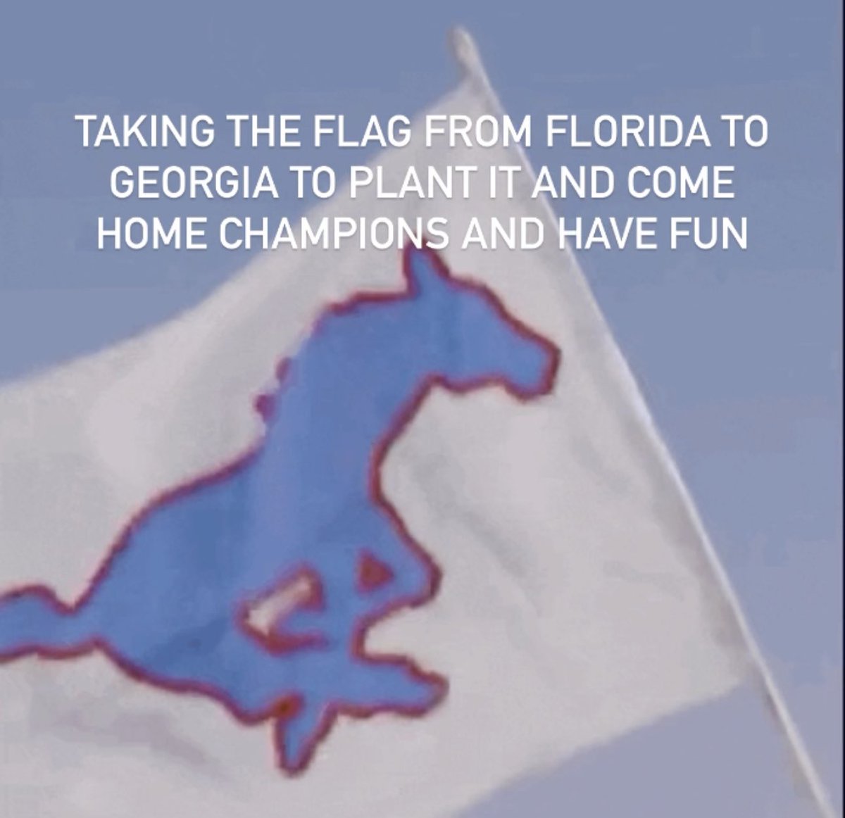 TpaMustangs2013's tweet photo. https://t.co/1kN50Iyalv