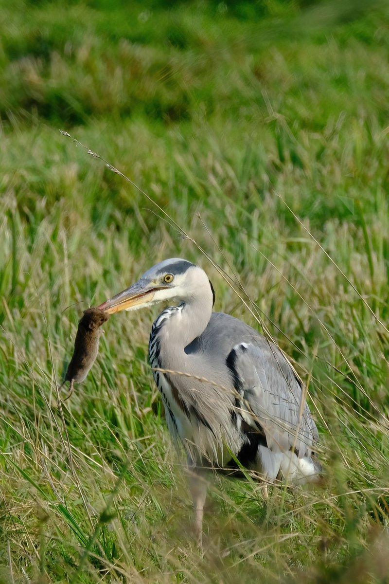 🅳🆁🅳🆄🅽🅺🆈🅹🅸🅼 tweet media