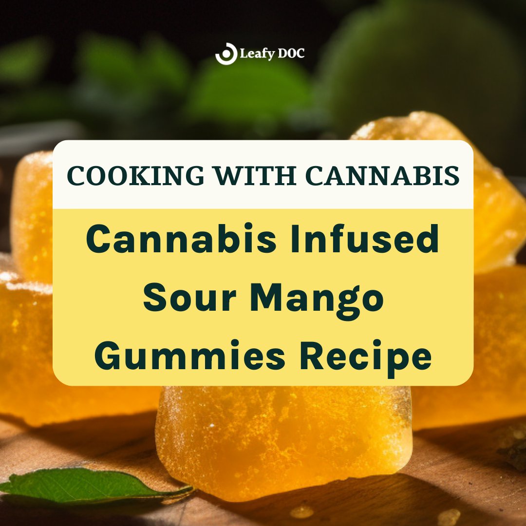 LeafyDoc's tweet photo. Craving a sweet and tangy treat? Elevate your snacking game with our Cannabis-Infused Sour Mango Gummies Recipe! 🌿🍋

https://t.co/8cBPG1Gq8p

#CannabisRecipe #Edibles #MedicalMarijuana #CannabisMedicine #StonerLife #MarijuanaLegalization #CannabisNews #SmokeWeedEveryDay #Hemp https://t.co/KU0L9HY1C0