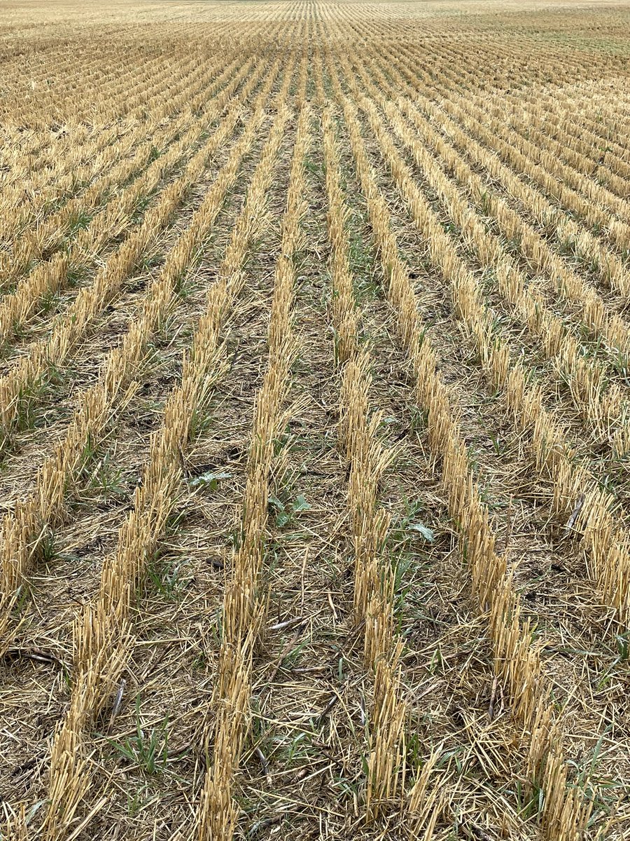 guykeeler's tweet photo. After of the busiest Septembers of sampling that our group has ever had now moving into the back half of the fall sampling season. @westernagNWSK #prsprobes https://t.co/V7IfoAdvCL