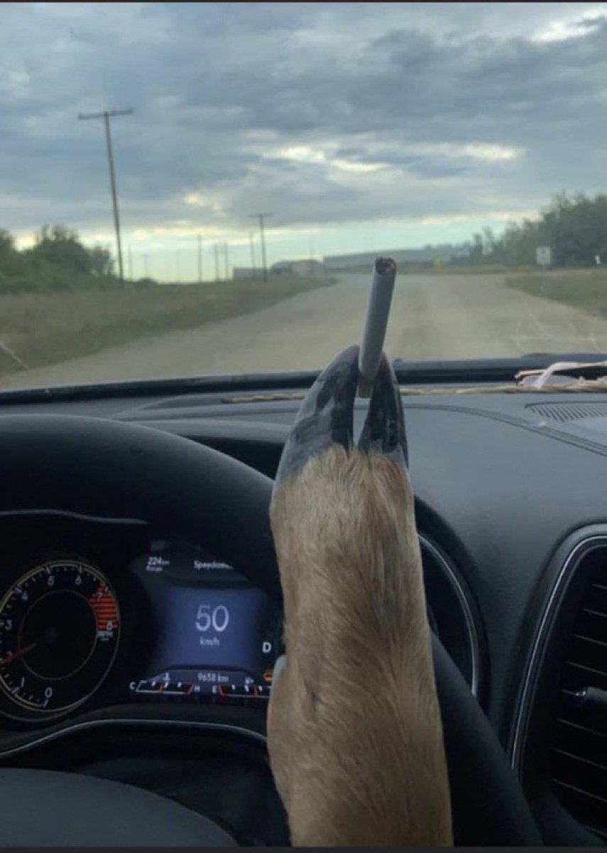 just me and the open road