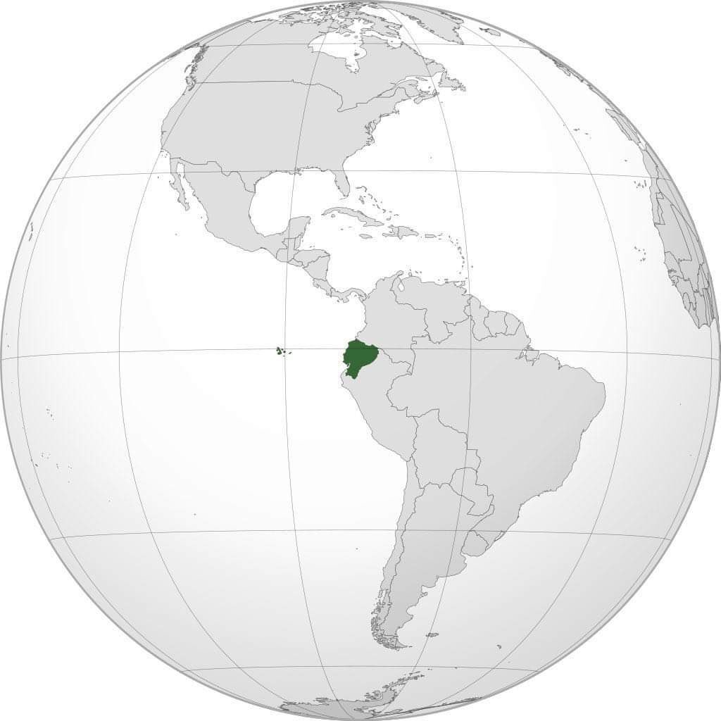 FunerariaAlach's tweet photo. Países donde ser "cojudo" es un mérito para ganar la presidencia. https://t.co/aVgOankCpP