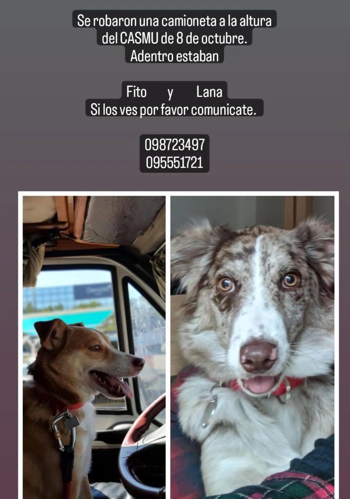 PA_Uruguay's tweet photo. Se robaron la camioneta y ellos estaban dentro. 
Por favor difundan, puede estar en cualquier lado. 
Lo están buscando desesperadamente.
Gracias https://t.co/NOKT4MZjBs