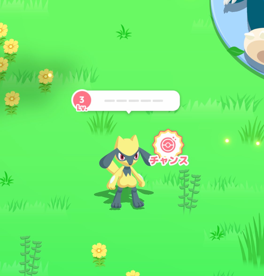 macomaco_s2's tweet photo. 色違いのリオルちゃん🥹❤️
#ポケモンスリープフレンド https://t.co/HEVrF1A9S0
