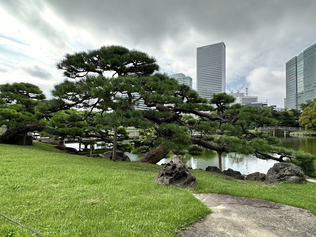 Ivone Namikawa tweet media