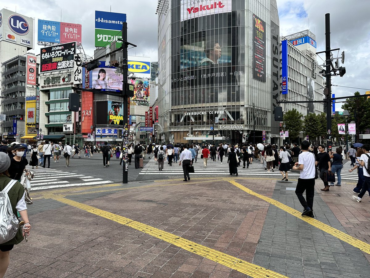 Ivone Namikawa tweet media