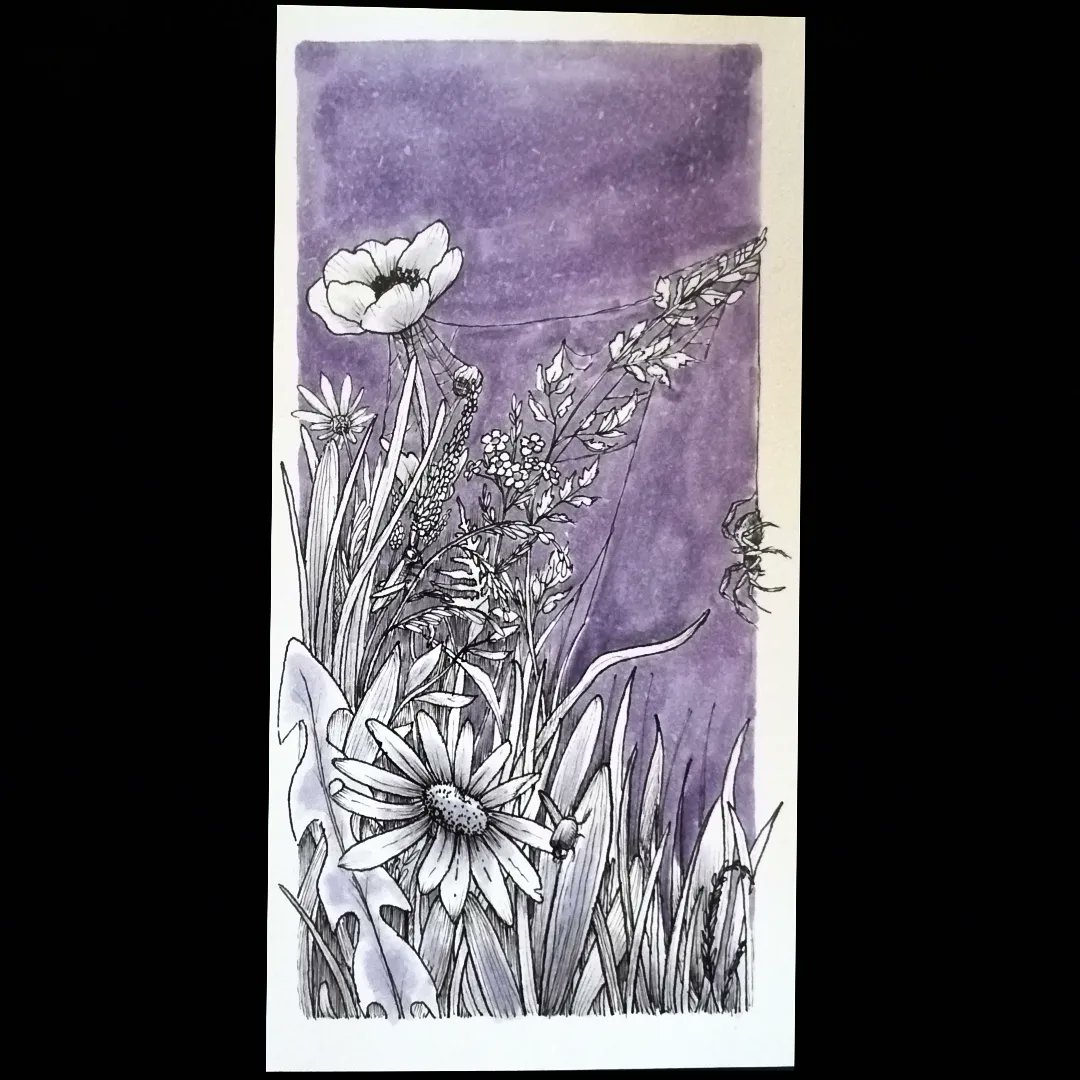 eroviah_'s tweet photo. Day 2 of #Inktober was Spiders but I went easy on the spidey theme😊

I have a lot to learn with copics but I can't wait to see my progress during this month. https://t.co/dcxLr8CAFy