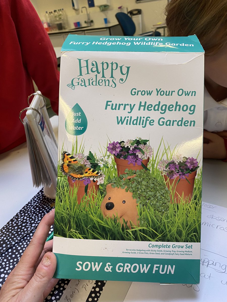 LightmoorGarden's tweet photo. Wet gardening club today so we made a start on our grow your own furry hedgehog wildlife garden ๐ชด @LightmoorPri @RHSSchools @Natures_Voice #kidsgardening #natureisfun https://t.co/xXzVGVHLCs