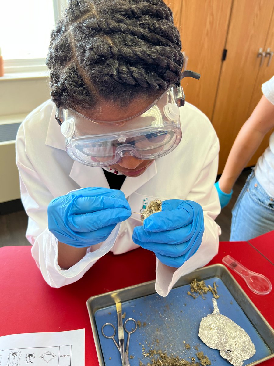 DrAfro71's tweet photo. Mentoring can help young scientists develop a lifelong love of learning and a passion for discovery. #ScienceMentors #MentoringMondays https://t.co/At4A4uG9f9
