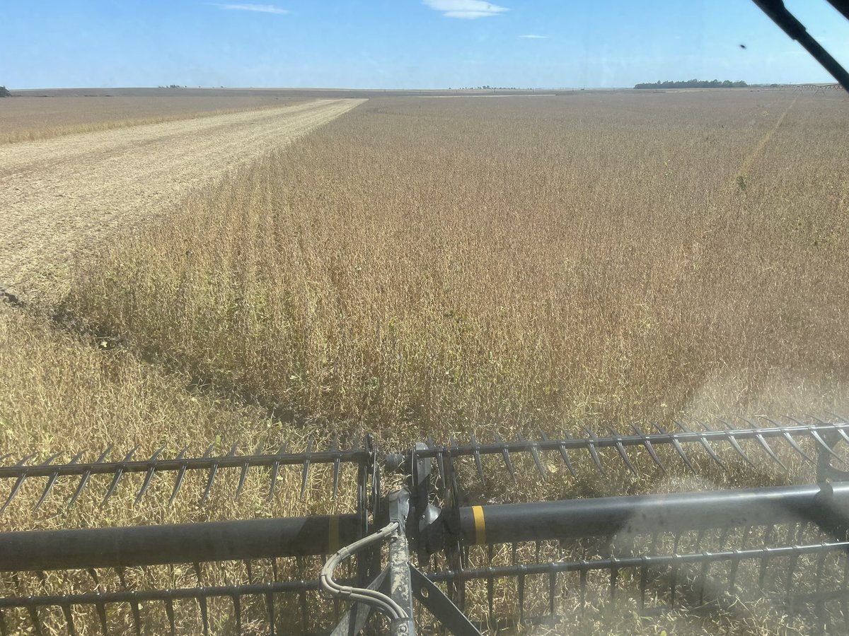 hansonfarms's tweet photo. Harvesting 25A16E soybeans. Great weed control with the Enlist system and the high end yield you expect from @PioneerSeeds. https://t.co/YsyRBik7w2