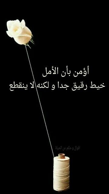 gehanal30828362's tweet image. 