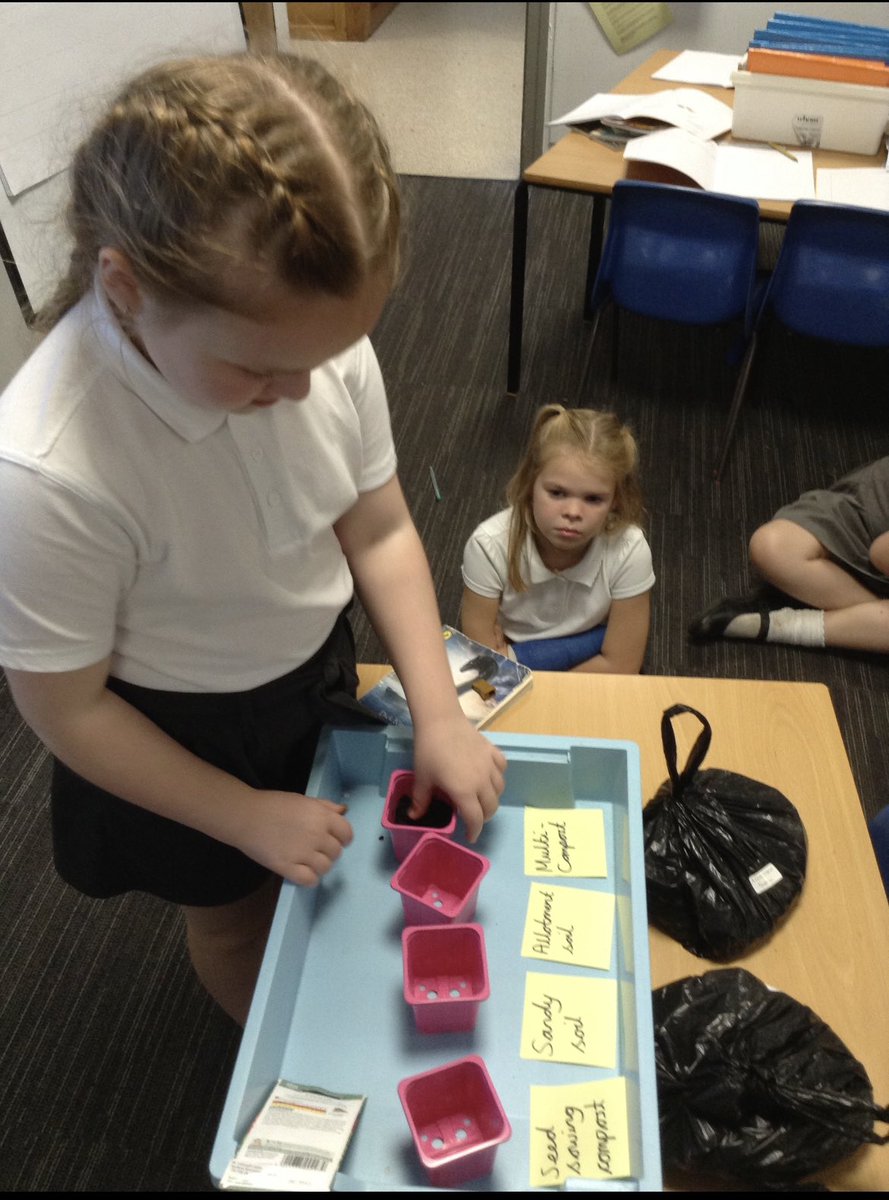 theberkeleyacademy tweet media