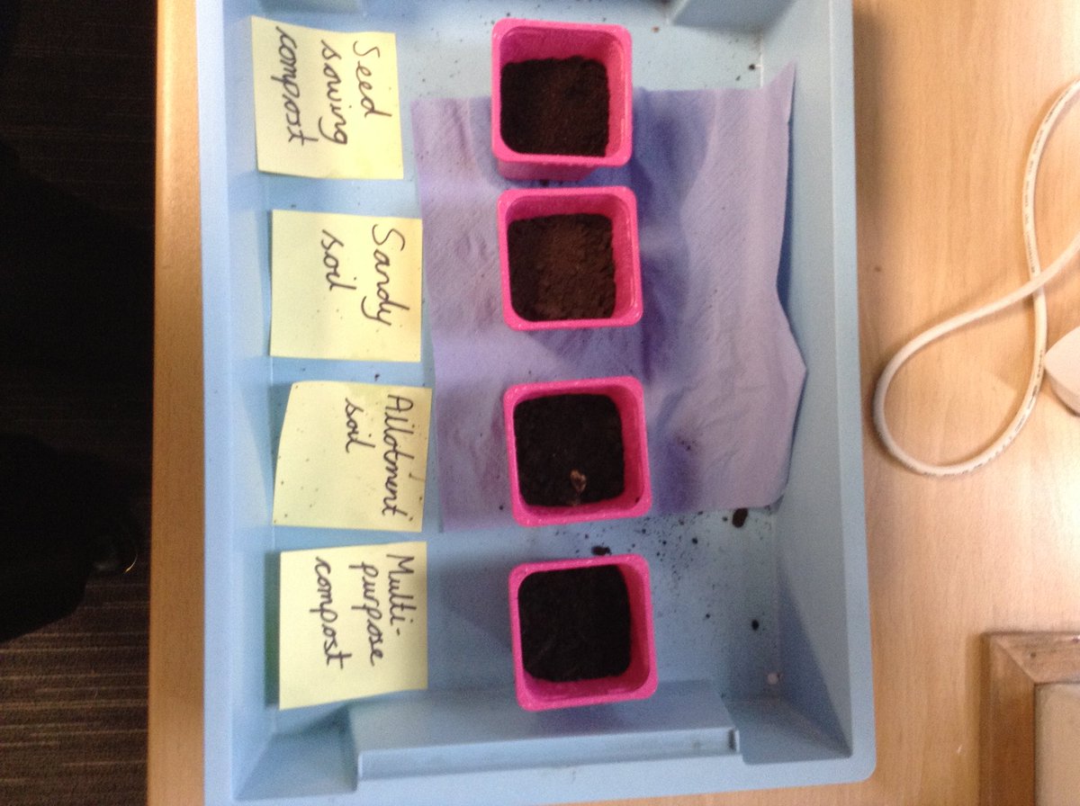 theberkeleyacademy tweet media