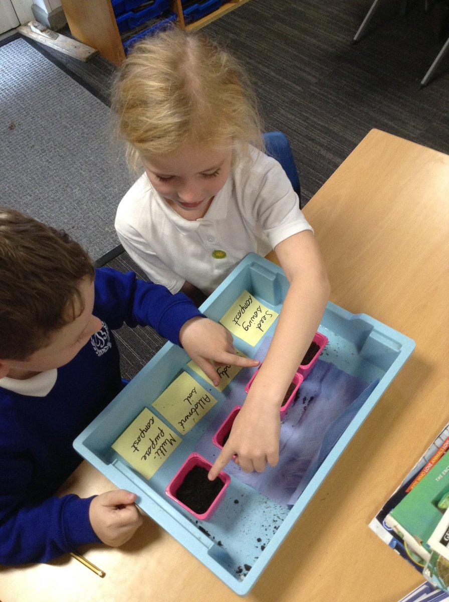 theberkeleyacademy tweet media