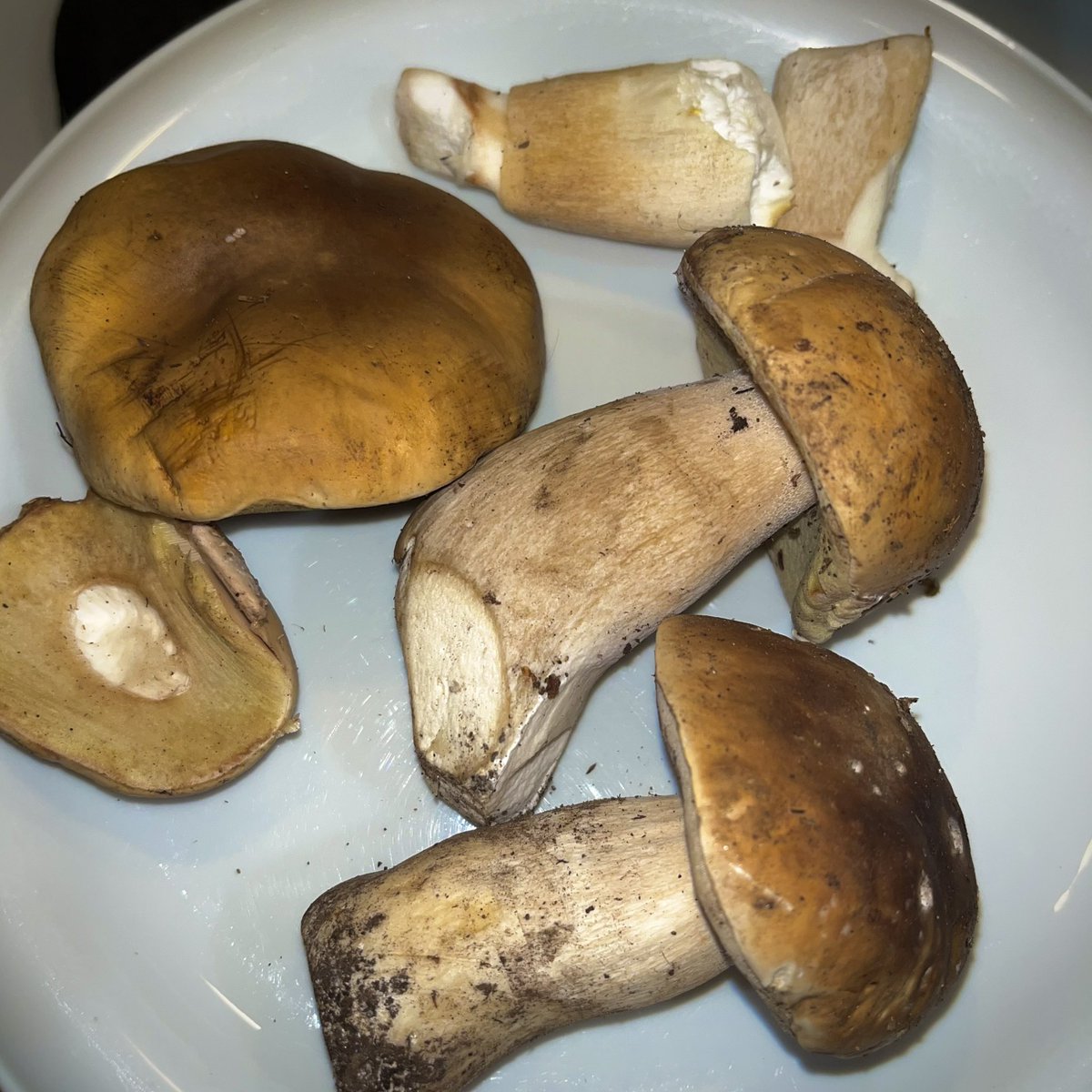 Olivier Blanckart tweet media