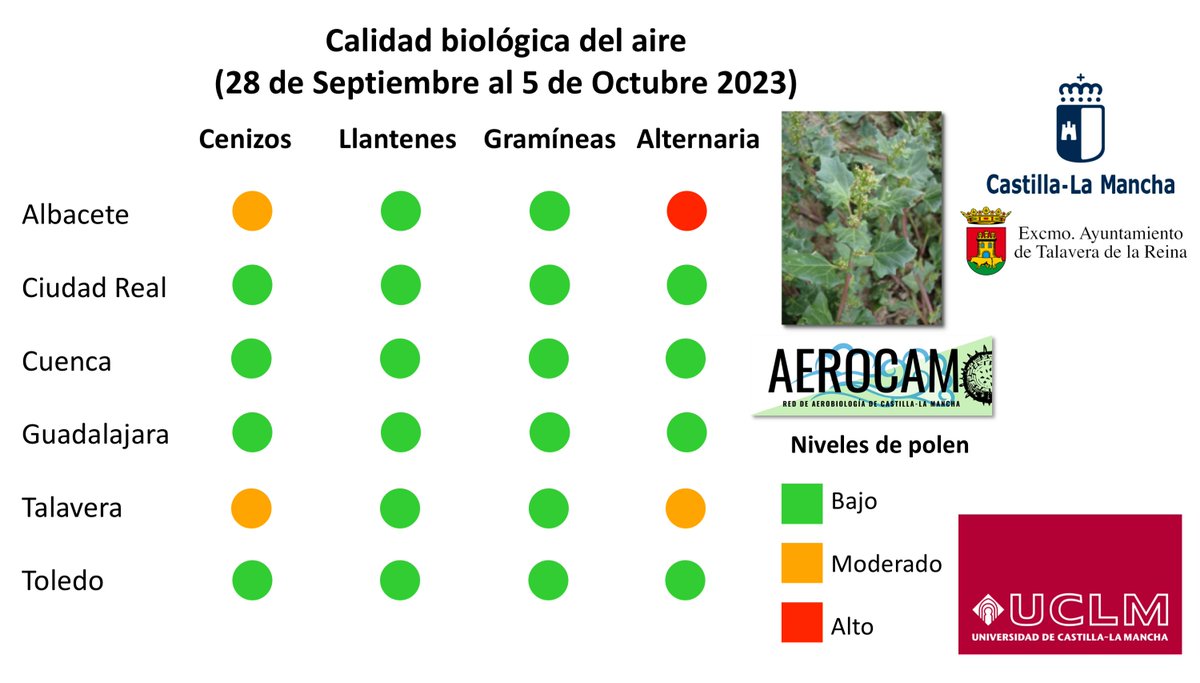 polen_CLMancha's tweet photo. Esta semana, las concentraciones de polen de amarantáceas (cenizos, salsolas) han aumentado respecto a la semana anterior y son considerables las concentraciones de esporas de Alternaria🍄 en Albacete, nivel alto, y en Talavera (nivel medio o moderado).
https://t.co/RV6YKjke51 https://t.co/ez08uqkHPj