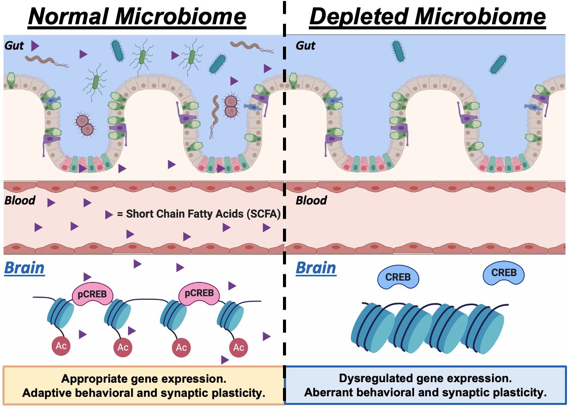 Kiraly Lab tweet media