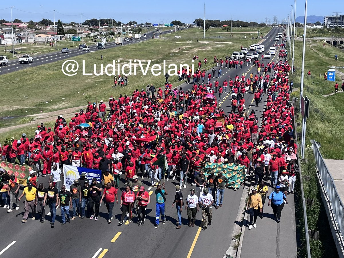 LudidiVelani's tweet photo. This is the crowd the EFF managed to pull today for their protest. #EFFProtest https://t.co/D46hwd2u0a