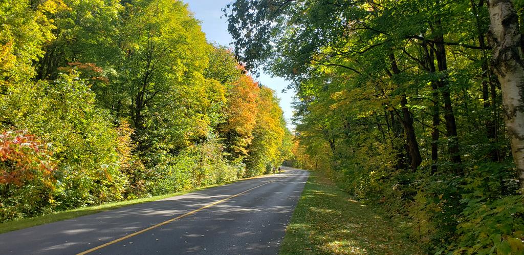 pomaluk's tweet photo. Summer weather with Automn colours in @NCC_GatPark @ville_gatineau #ottbike https://t.co/MVjupf3lBm