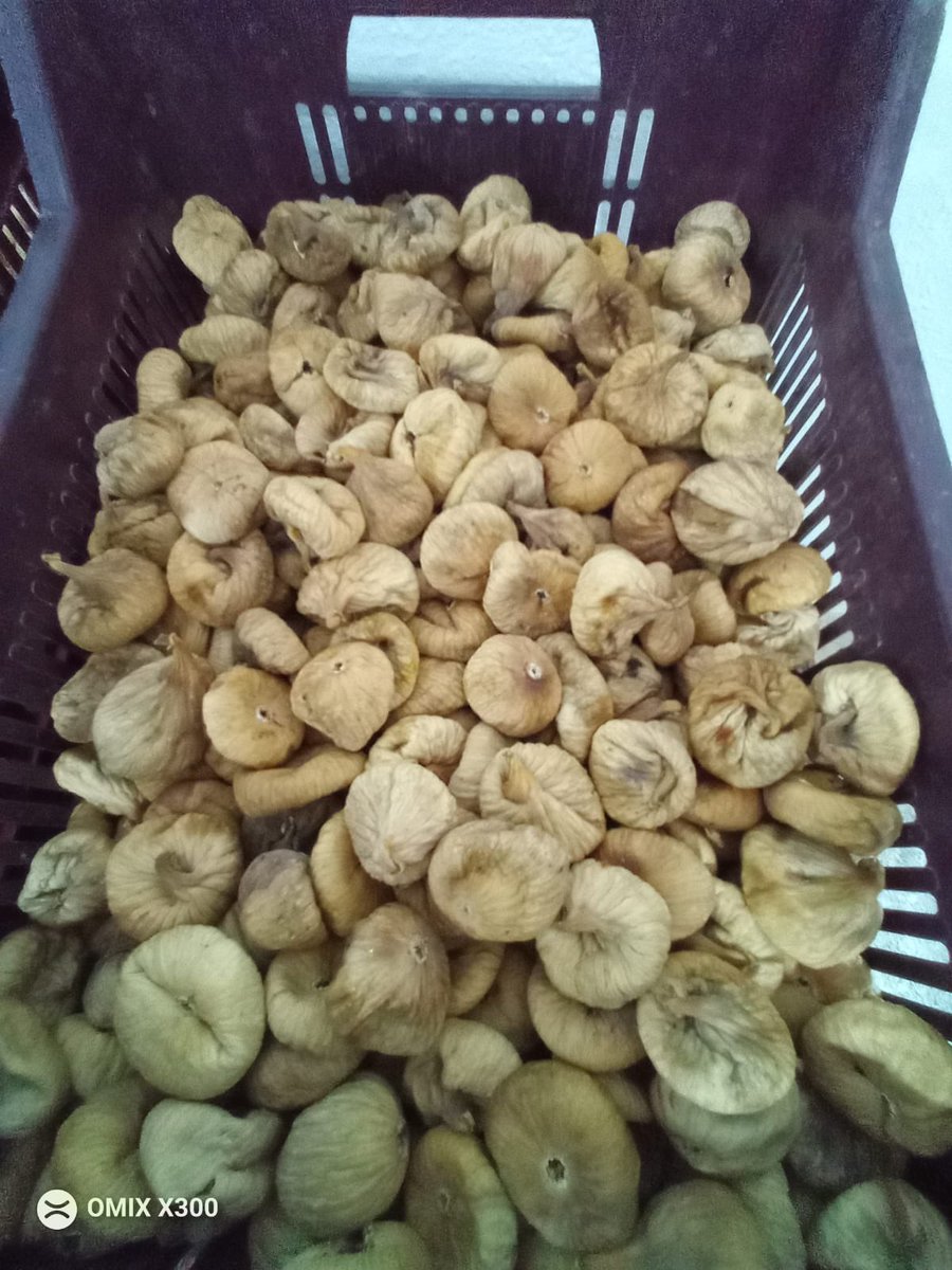 BolGda1's tweet photo. İDDALIYIZ BÖYLESİNİ TATMADINIZ

BAHÇEMİZDEN SOFRANIZA

AYDIN DAĞ İNCİRİMİZ 

HER BÜTÇEYE UYGUN ÇEŞİTLER 

😋😋😋😋😋😋😋😋😋😋😋

#İncir #kalite https://t.co/VIB7ZAyDB8