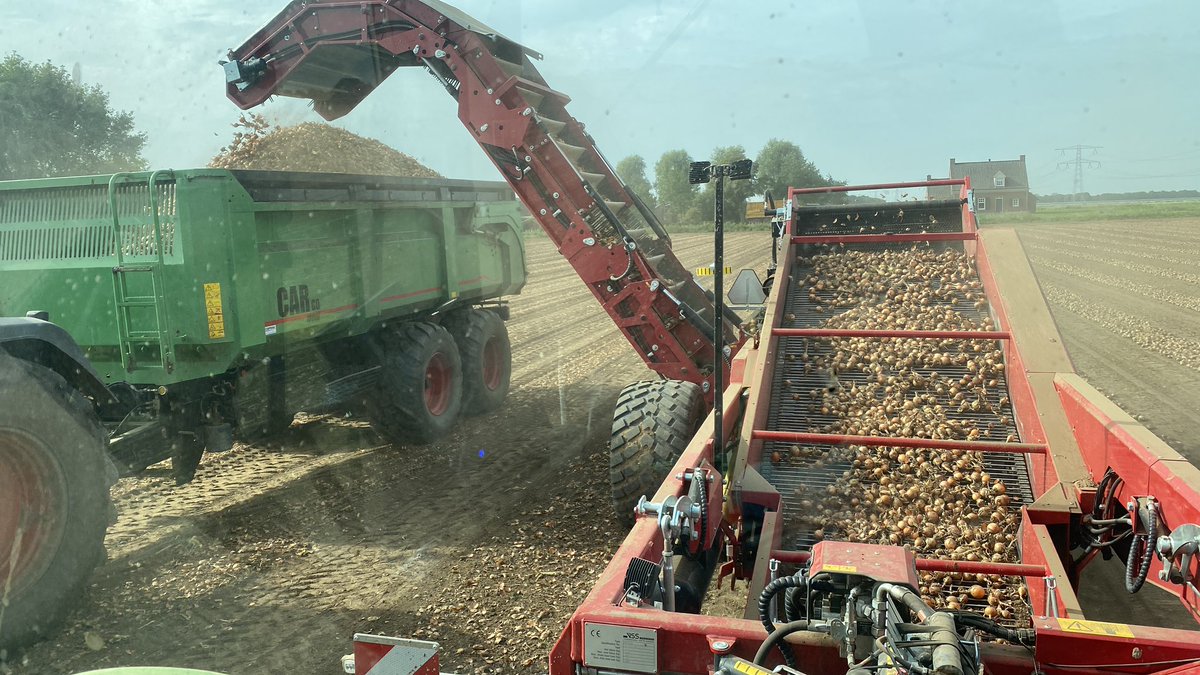 marijnjd's tweet photo. Eerste uien op 21 juni gerooid, laatste uien op 2 oktober geladen! Mooi seizoen weer! #oogst23 #akker #agrifoto #uien #juun #onions https://t.co/1aAx8MtXCX