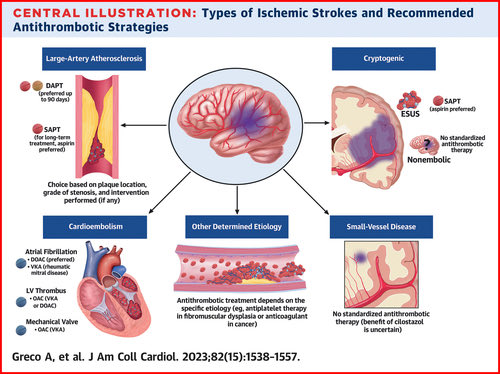 📌#Antithrombotic 💊 for Primary & Secondary Prevention of Ischemic Stroke

#CardioEd #StateOfTheArt