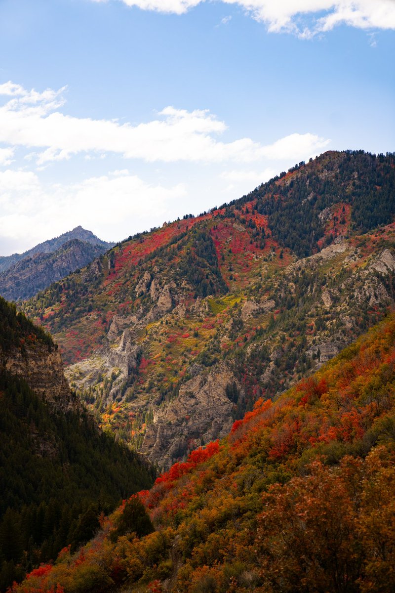 Fall in the mountains of Utah