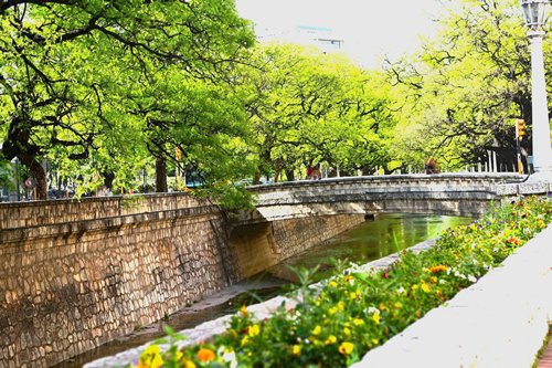 CorreaJoako's tweet photo. Dia normal de Primavera en otras Provincias / Día de primavera en La Pampa https://t.co/jhY6IFy9iZ