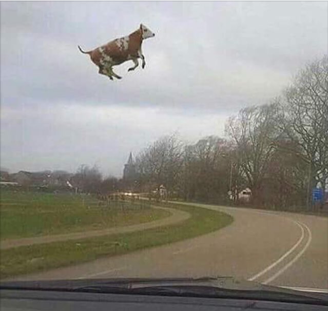 CorreaJoako's tweet photo. Dia normal de Primavera en otras Provincias / Día de primavera en La Pampa https://t.co/jhY6IFy9iZ