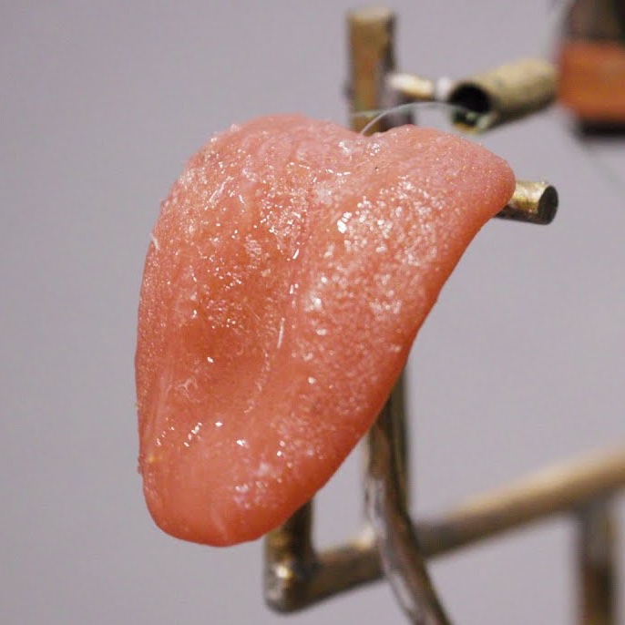 Tully's tweet photo. As promised on this week's #TullyShow with Dr. Giulia Poerio:
Get a load of this totally off-putting yet strangely compelling robot tongue:
https://t.co/6xPid3mFWE https://t.co/vzsPlxRKOS