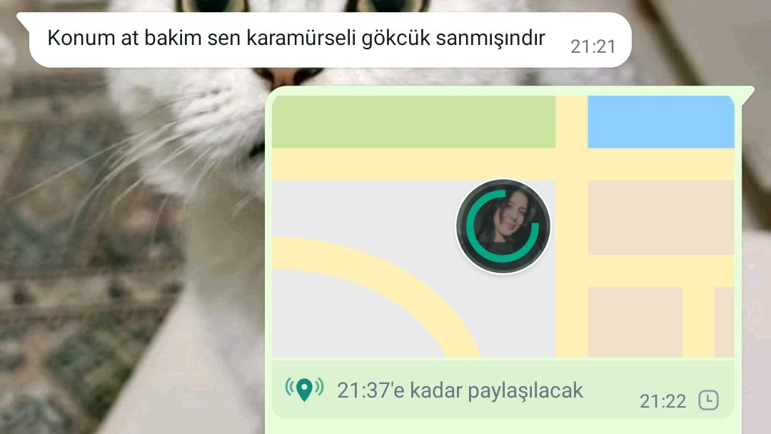 Çevremin bana yer yön hakkında duyduğu güven ektedir