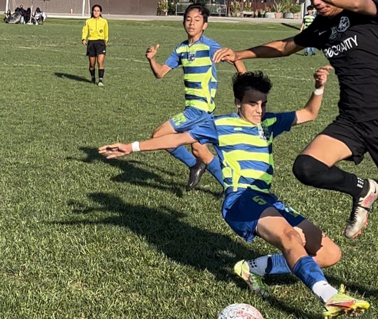 Lion'sDenFútbolClub tweet media