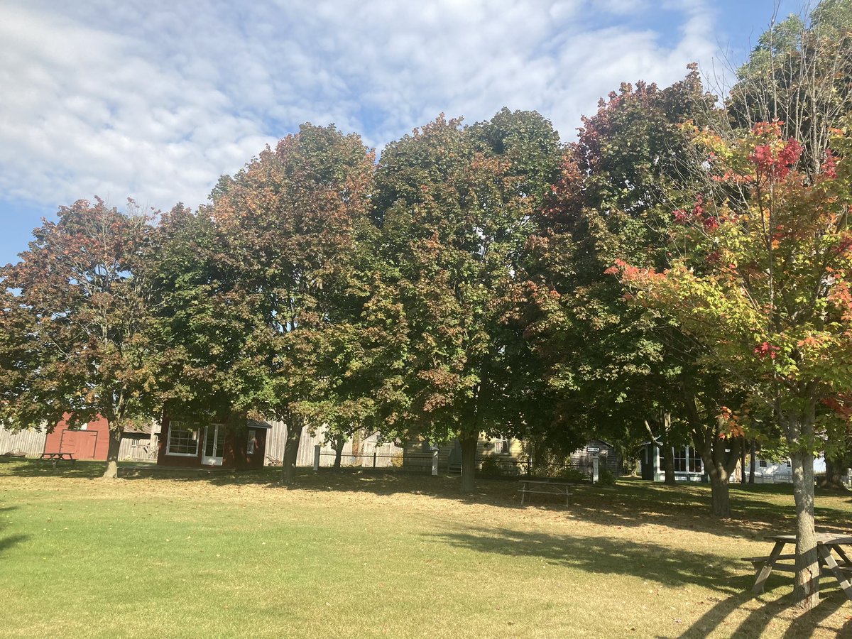 The leaves are starting to change colour at the museum, so you know what that means - we are beginning to set up for our Halloween event. Mark your calendars for Adventures at the Boo-seum, happening Sunday October 22nd from 11-3 pm!

#adventuresatthebooseum #scugogshoresmuseum