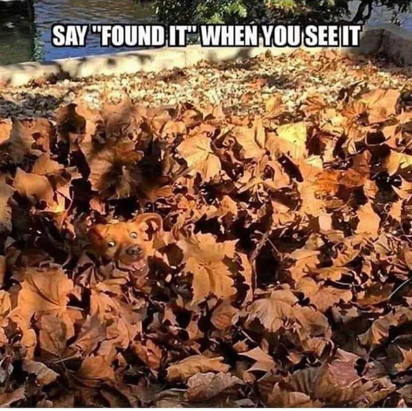 teachergoals's tweet photo. Comment below! 👇 https://t.co/fQLBERo37j