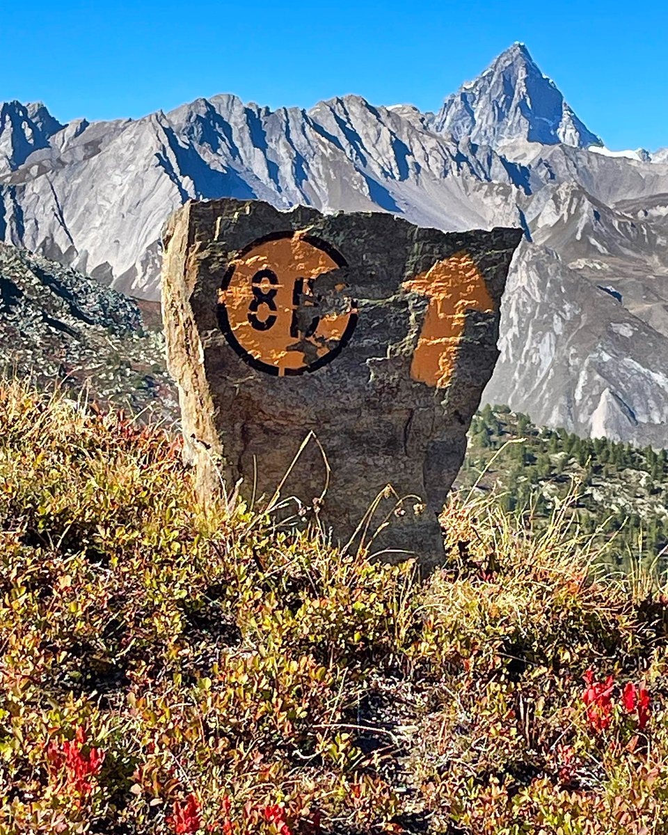MaxMart4810's tweet photo. Balisage #iocorroqui #trailrunning #inaltoorg #inaltotrail #coumbafreida #têteduboisdequart #vallondeflassin #vallondecitrin #puntawalker #sentieridellavalledaosta #balisage #etroubles #valledaosta #valléedaoste https://t.co/InRLp1Vpgr