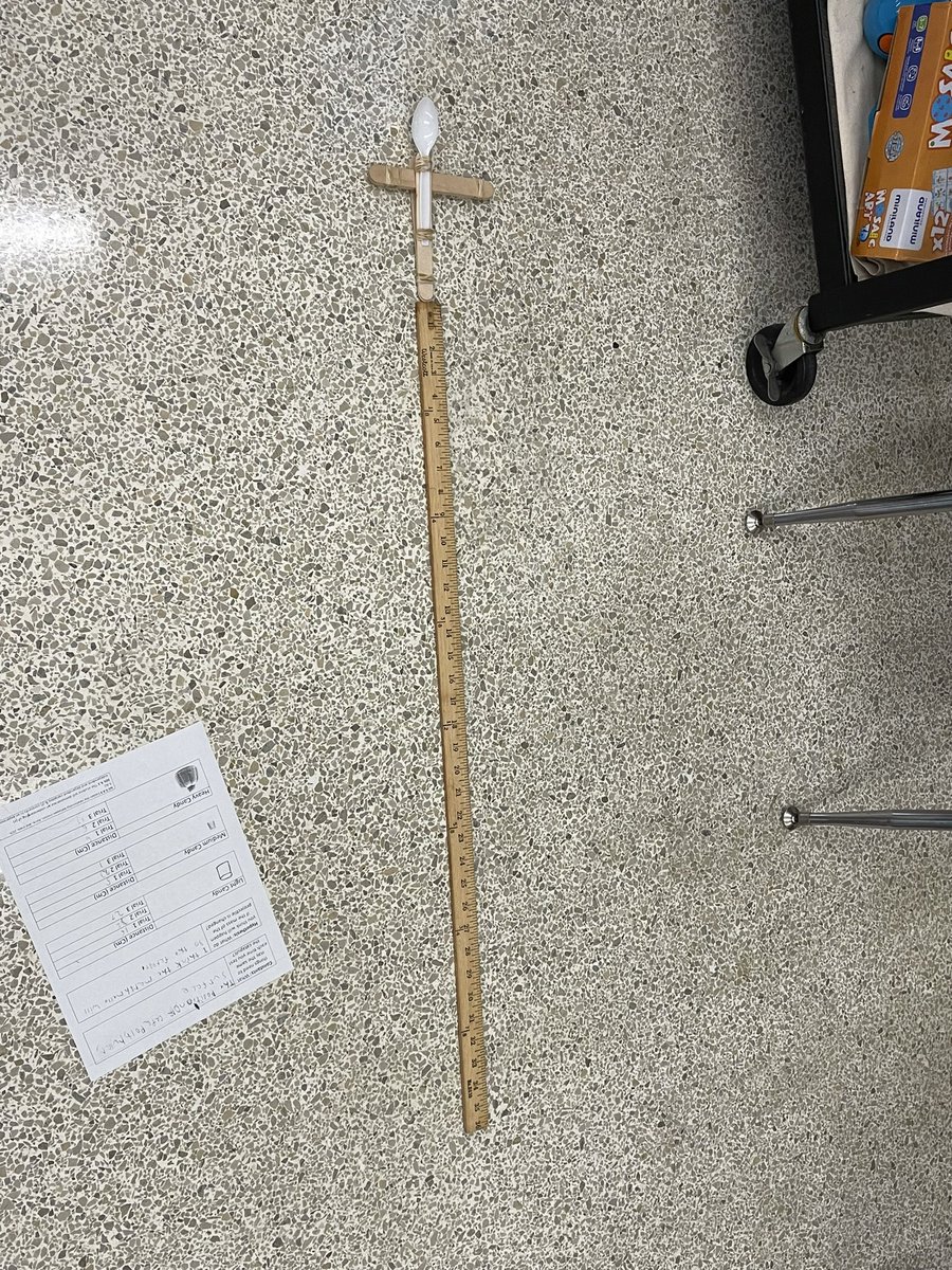 Stephanie Haus tweet media