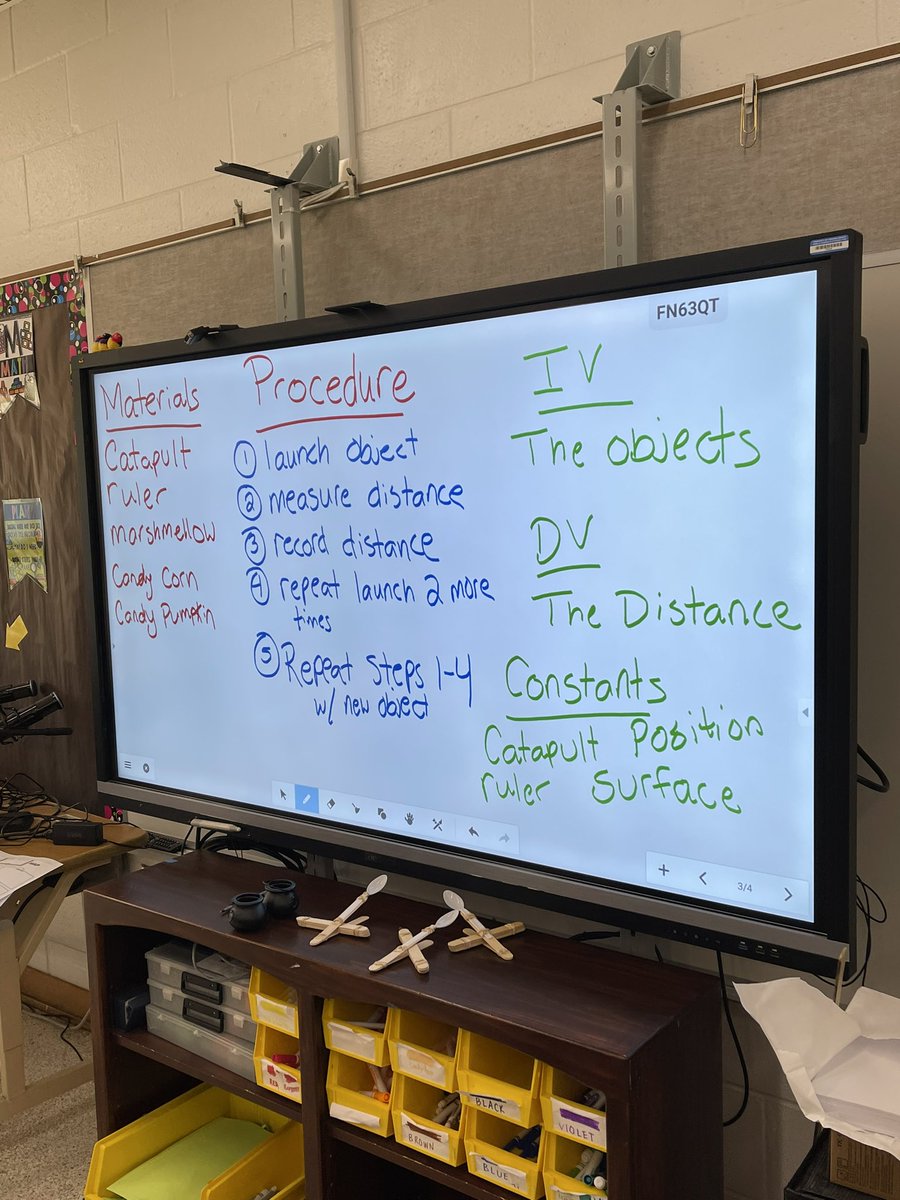 Stephanie Haus tweet media