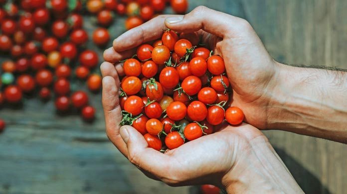 Pace_Reps's tweet photo. The farm to table movement demonstrates a shift towards #sustainability in restaurant culture. Take a closer look at the small changes that can be made today for a greener tomorrow. #farmtotable #restaurantindustry #foodservice #pacereps
https://t.co/YDMeqj1erv via @TFS_TotalFood https://t.co/JAfSXRAfDH