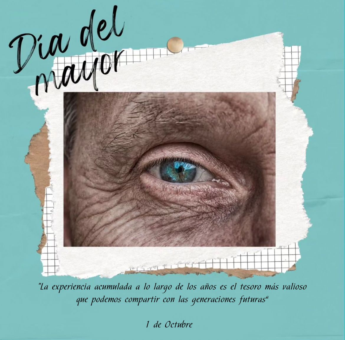Lorenasanntana's tweet photo. El tiempo puede cambiar muchas cosas, pero tu capacidad para enfrentar desafíos sigue siendo inquebrantable. ¡Feliz Día de las Personas Mayores!
#educacionsocialmayores
#DerechosHumanosPersonasMayores
#EdusoDay2023  #DiaInternacionalDeLasPersonasMayores @Cabera8 @ceescan @CGCEES https://t.co/iGrJpjxjbT