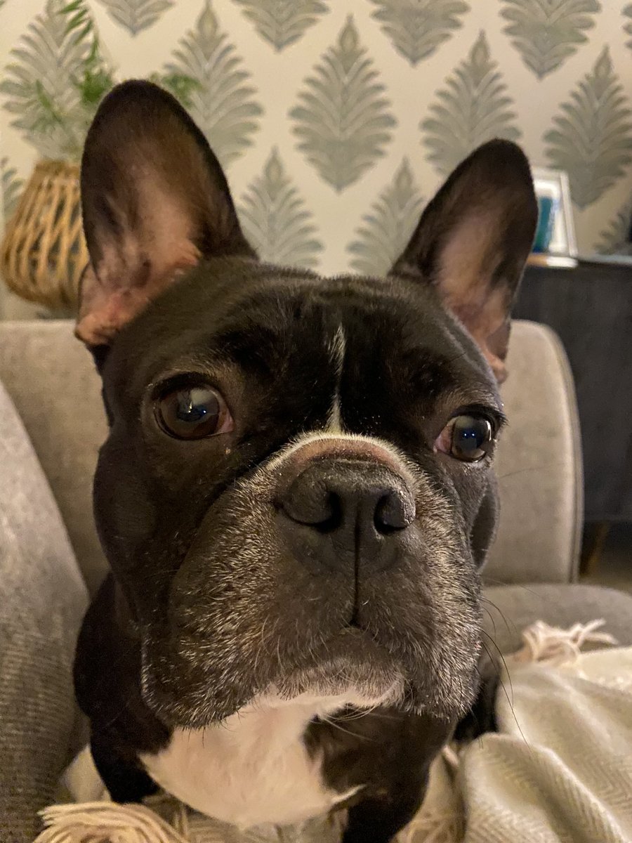 Debbie363's tweet photo. @JaneyGodley Sending you good wishes and a hello from Teddy https://t.co/uwXx1BTTKZ