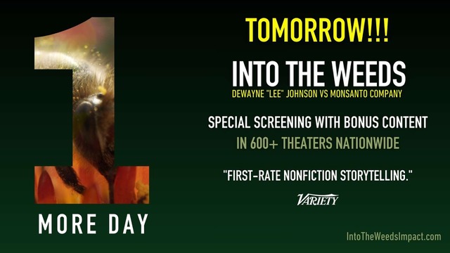 The Detox Project is proud to be supporting the release of this epic film that sheds light on the dangers of glyphosate and Dewayne 'Lee' Johnson's fight to bring Monsanto to justice! You can watch it tomorrow in over 600 theatres across the U.S. : intotheweedsimpact.com