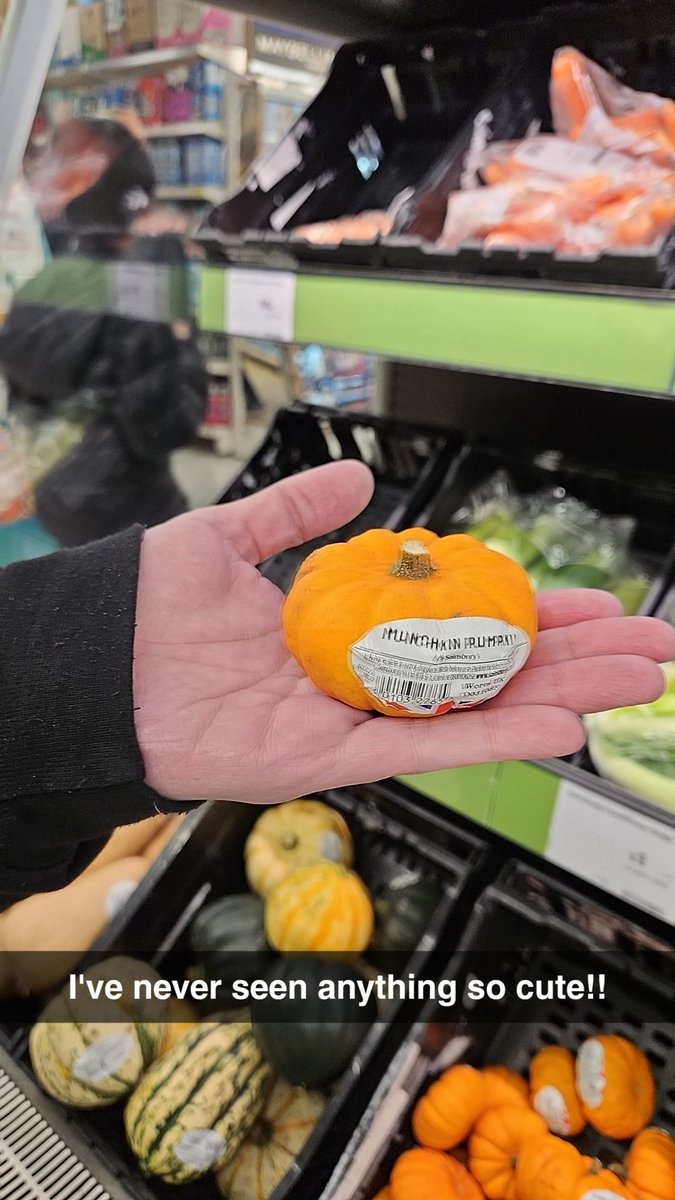 KerryAlice82's tweet photo. Never seen anything so fucking cute in my life!! #munchkinpumpkin #tinycutethings https://t.co/mrUsqy4GHM
