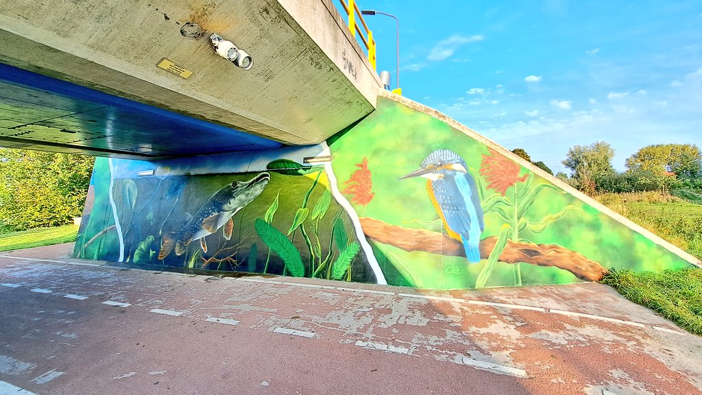 🖼| Op de wanden van het fietstunneltje in de werkensedijk zijn deze afbeeldingen te zien, het zijn prachtige afbeeldingen van dieren uit de biesbosch.

#kunstwerk #fietstunnel #werkendam 

<a href="/wsrivierenland/">Waterschap Rivierenland</a> <a href="/ADrivierenland/">AD Rivierenland</a> <a href="/AltenaNet/">AltenaNet</a> <a href="/KontaktAltena/">Het Kontakt - Altena</a>