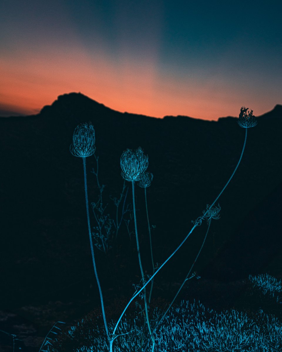 teisalbers's tweet photo. Had a great time in Greece last week as an artist in residence at the @aristidesyros on the island #Syros.
I went out at dusk and got away from the hotel with a scooter and my photography equipment to explore the islands natural elements. https://t.co/2TsT7AqV7c