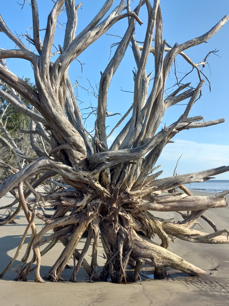 DavelynRodgers's tweet photo. Fall in Coastal Georgia and our little slice of Heaven...💙 https://t.co/we7PUwcM4s