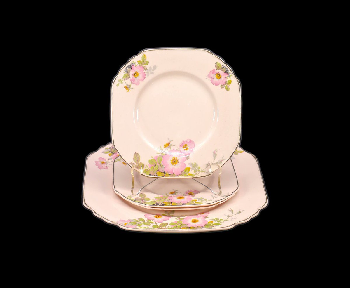 G97816960Girl's tweet photo. Antique Wedgwood Sweet Briar Rose Blush dessert plate set made in England. One square serving plate, three square side plates. https://t.co/SAbn5TbTPR via @Etsy #BuyfromGroovy #antiqueshop #antiquetableware #dinnerware #teaparty #teatime #pinktableware #Wedgwood #WedgwoodSweetBriar #EtsySellers
