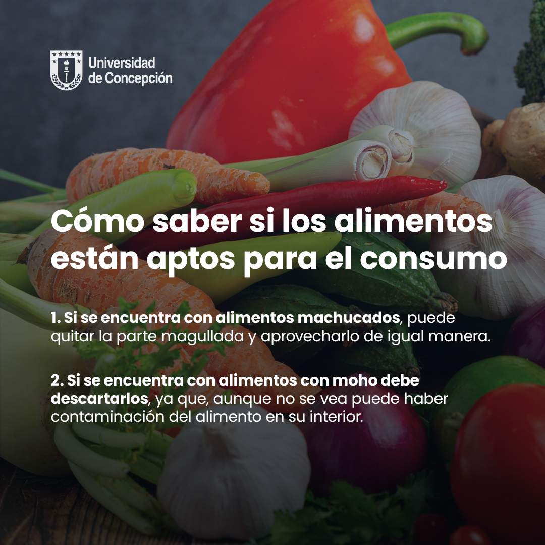 Universidad de Concepción tweet media