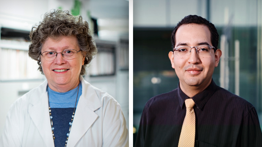 UHN's tweet photo. Roughly 30% of people with psoriasis will develop psoriatic arthritis (PsA)

Scientists at @SchroederInst identified genetic markers that can accurately predict whether a person will develop PsA - potentially preventing permanent joint damage.

Read more→ https://t.co/ib7sC6Q7a0 https://t.co/l9K9F1bsox