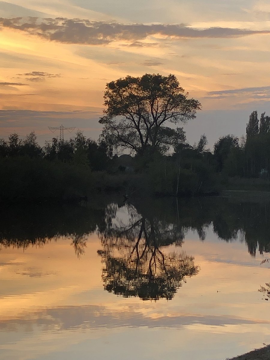 BertThoolen's tweet photo. Breda, Haagse Beemden https://t.co/cZ9HCmPfNx